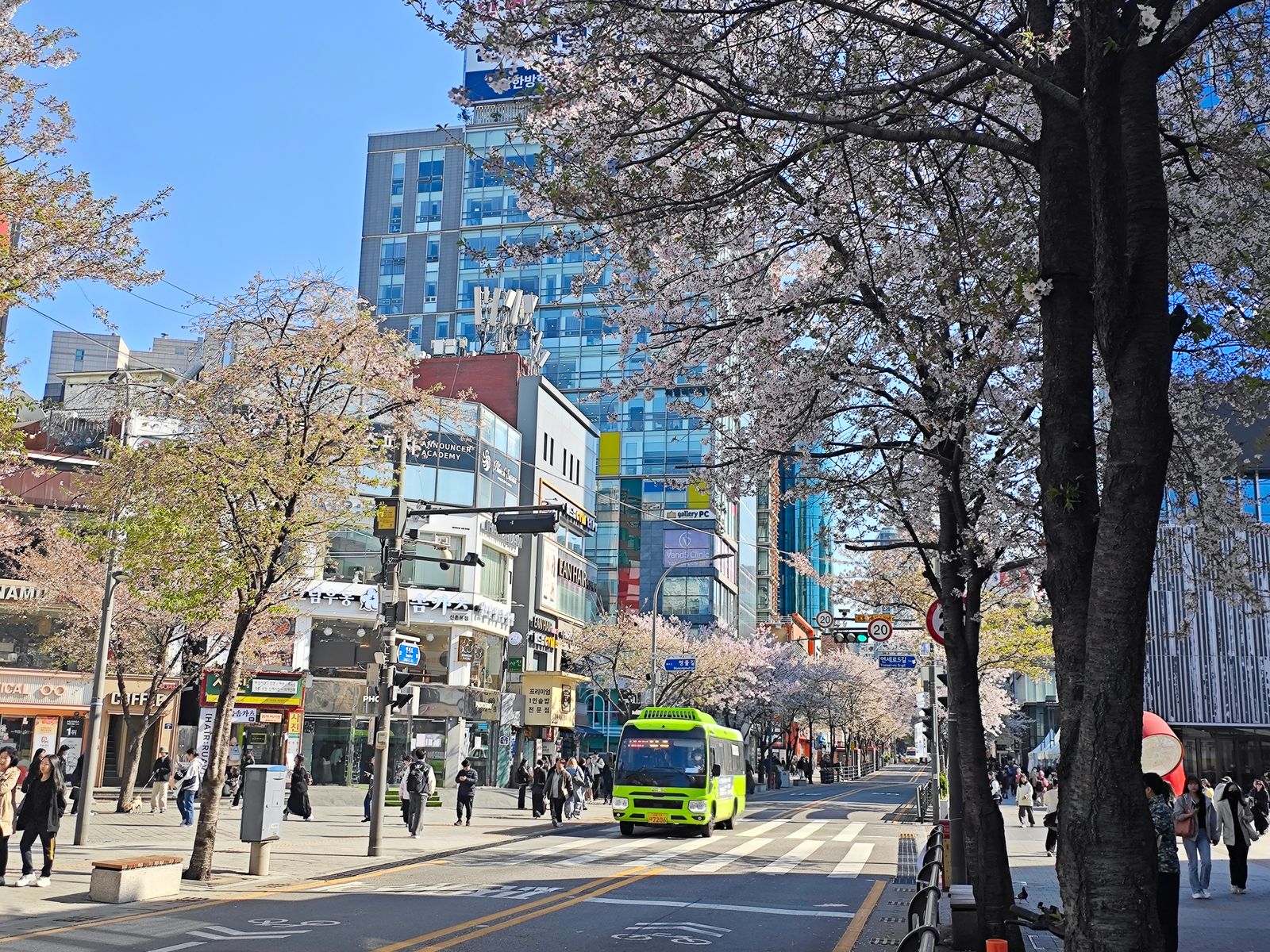 Seoul aesthetic clinic